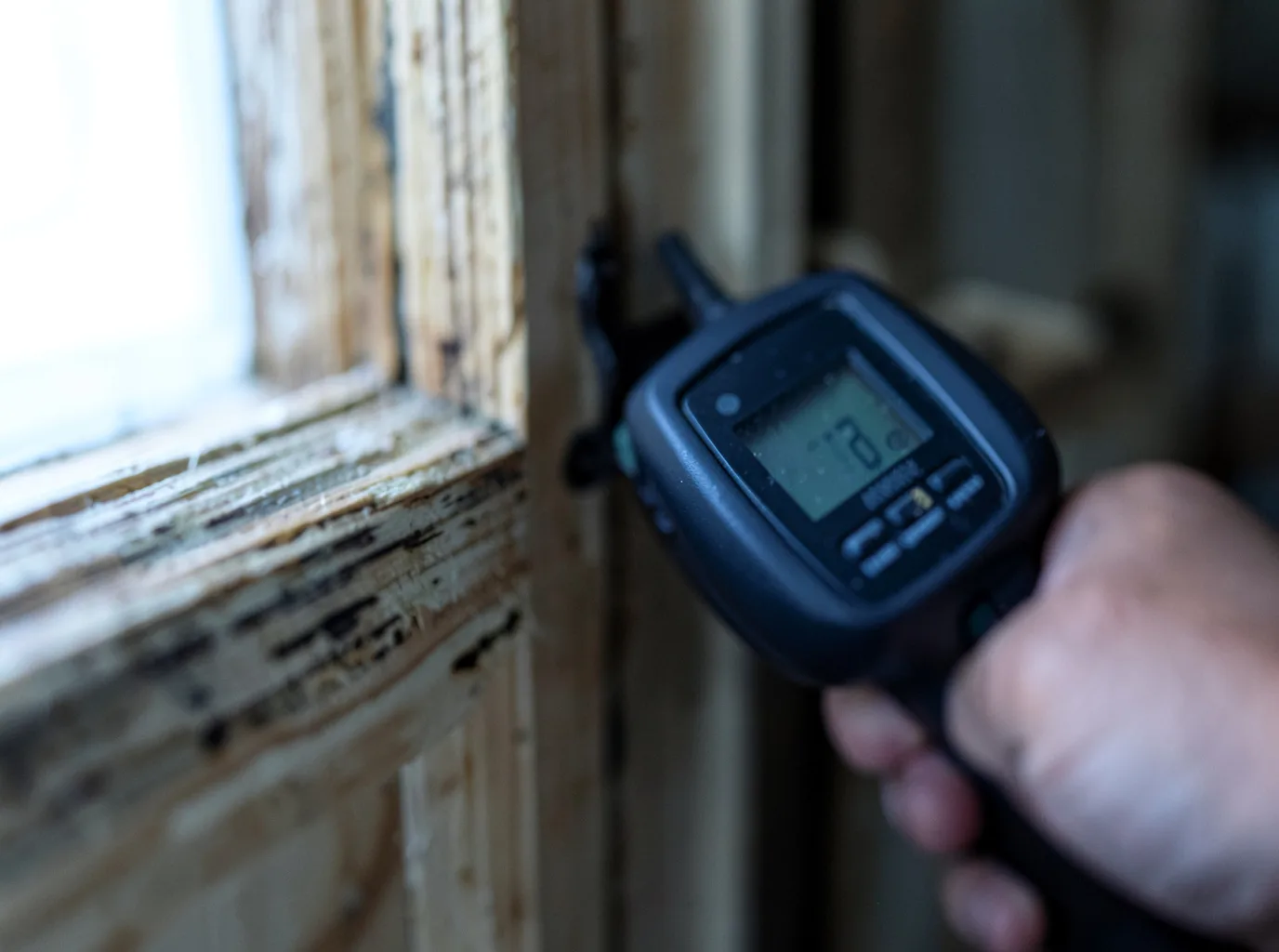 Moisture Inspection And Documentation in Marlborough, MA